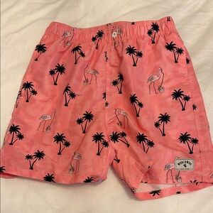 Pink Flamingo Print Men's Swim Shorts